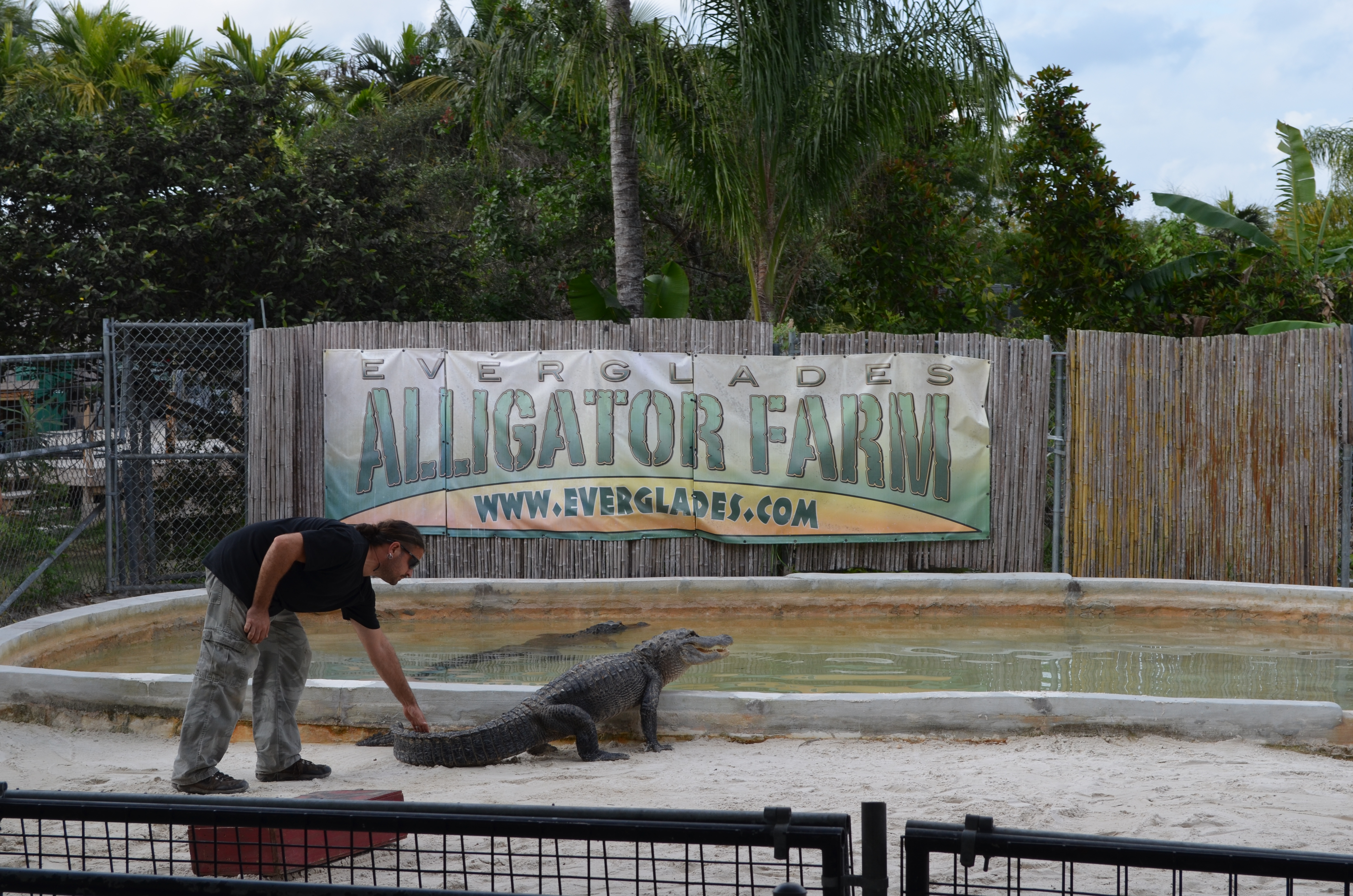 ./2012/Christmas/Aligator Farm/DSC_1039.JPG